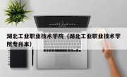 湖北工业职业技术学院（湖北工业职业技术学院专升本）