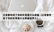 让青春吹动了你的长发是什么歌曲（让青春吹动了你的长发是什么歌曲追梦人）