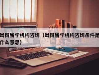 出国留学机构咨询（出国留学机构咨询条件是什么意思）