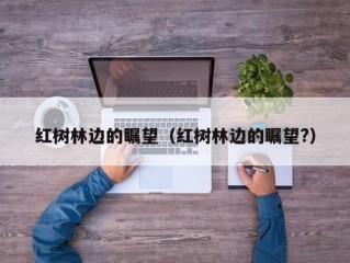 红树林边的瞩望（红树林边的瞩望?）